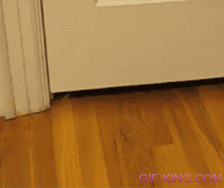 Kitten Slides Under Door