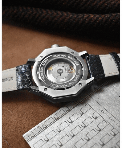 Swiss luxury watches