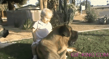 Little Girl Tries To Ride Her English Mastiff Like A Horse