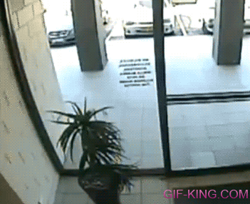Thief Walking Into Glass Door