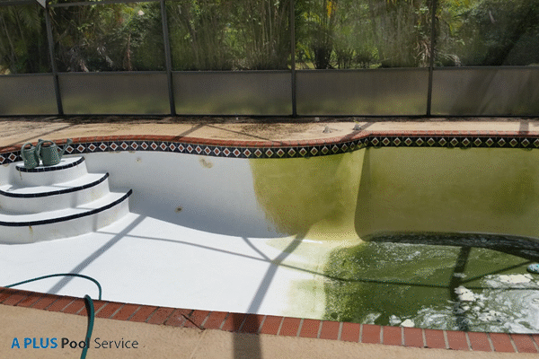Best Pool Tile Cleaning Las Vegas