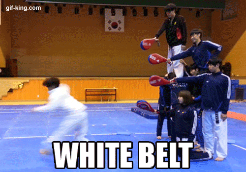 The difference between martial art belts