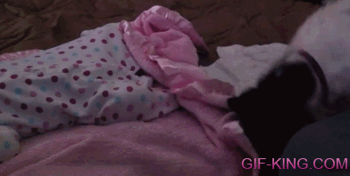 Dog Covers Baby With Blanket