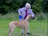 grandma gets pulled away by big dog