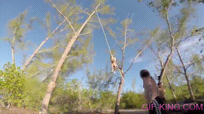 That Rope Swing is a Trap