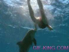 Gif dolphin rape Category:Animations of