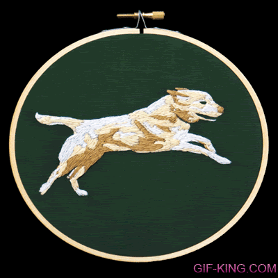 Running Dog...Amimated In Embroidery