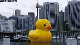 Giant rubber duckie