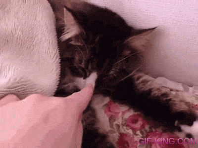You Don't Boop Me, I'm Sleeping Now
