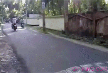 Bike stunt fail