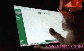 Cat Using PC
