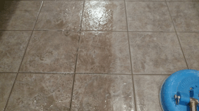 carpet shampooers