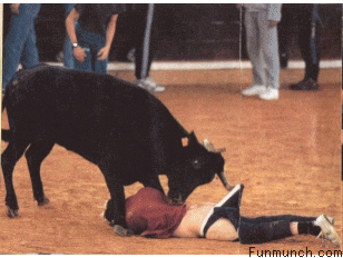 Bull Assault