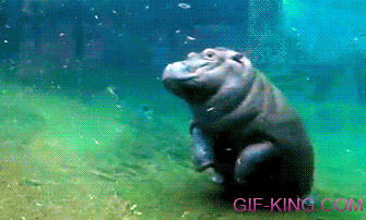 Baby Hippo Backflip