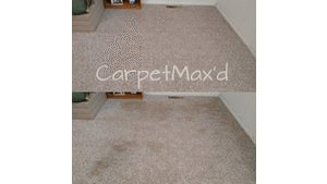 Tile And Grout Cleaning