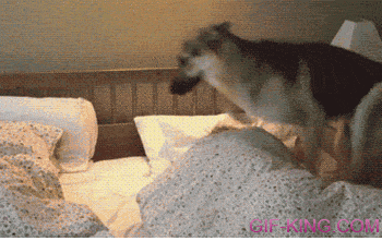 waking up in the morning gif