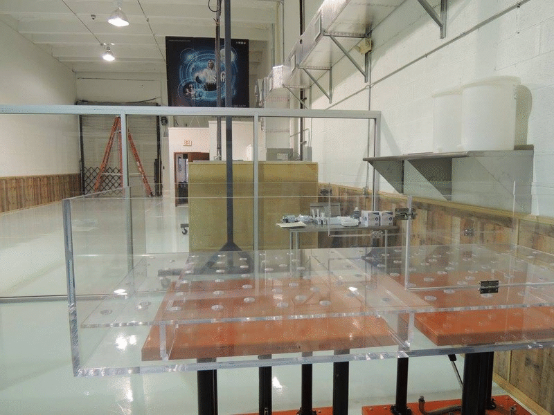 Back To Life After Death