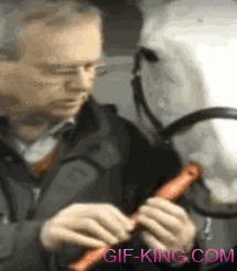 Horse Playing A Recorder With Its Nose