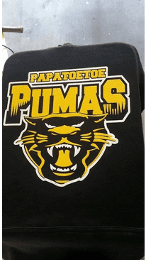 Silk Screen T Shirt Printing