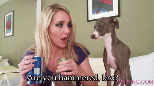 are you hammered, bro?