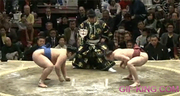 Sumo wrestler dodge