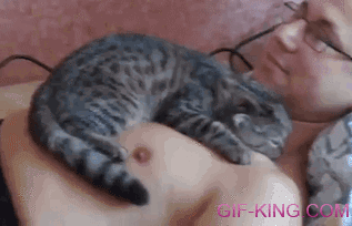 Cute Kitten Cuddling Guy