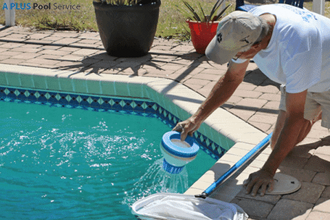 Best Pool Tile Cleaning Las Vegas