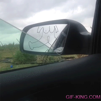 Car Window and Side Mirror Sex