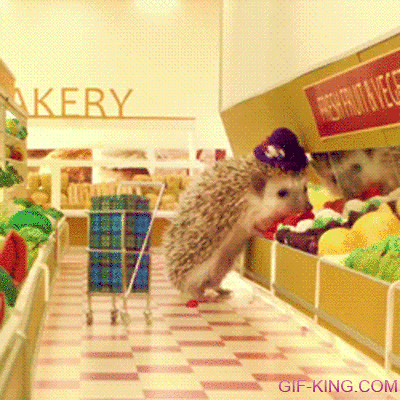 Cute Hedgehog Shopping