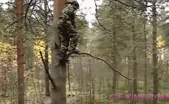 Jump Into Blanket From Tree Fail