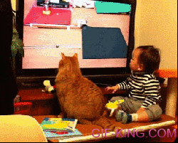 Baby And Cat Watch TV Together