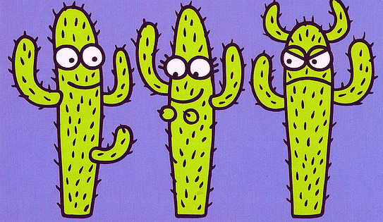 cactus