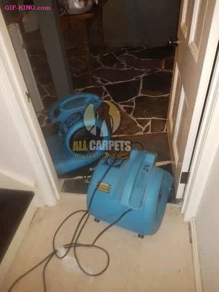 Water Damage Repair Sydney