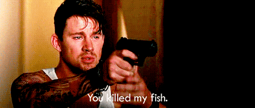 you killed my fish