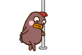 chicken pole dance