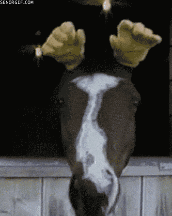 Horse Glove Ears