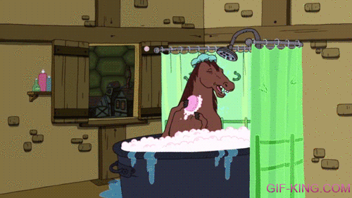 Adventure Time Bathing Horse