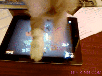 Cat Playing Game on iPad