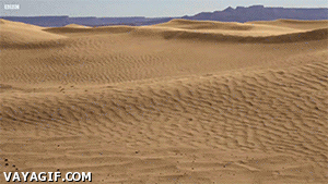 2 year long Sahara desert dune time lapse