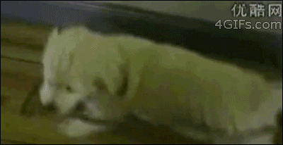 come on come on come on!