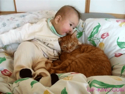 cat loves baby