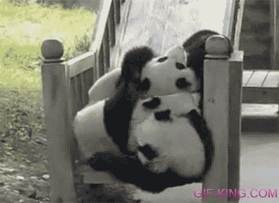 Panda Panda and Panda