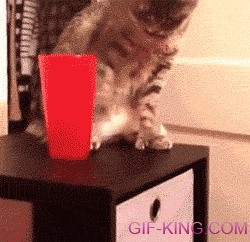 Cat Knocks Down Cup