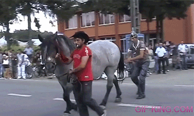 horse kicks man in the face
