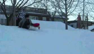 Dog Steals Sled and Rides It Down Hill