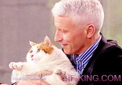 Anderson Cooper With A Fat Cat