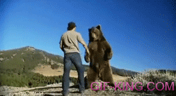 Bear Giving Man High Five