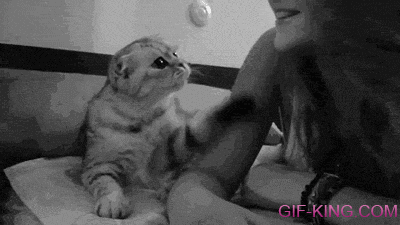 Cat And Girl Kiss