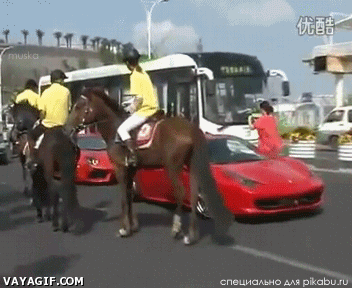 Horse Kicks Ferrari