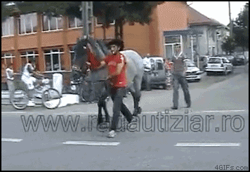 horse kicking
